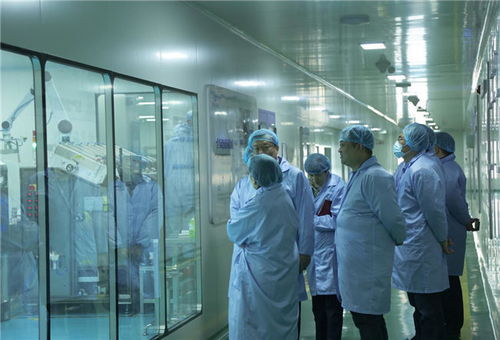 濟南市市場監督管理局副局長王曉文一行到福瑞達調研個人衛生用品銷售情況